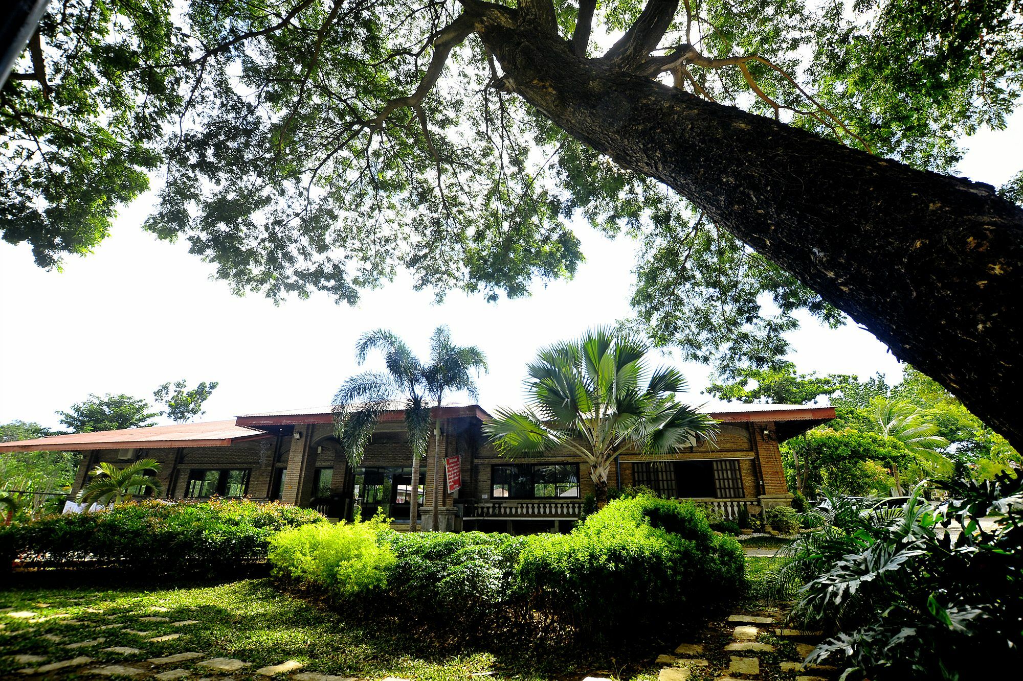 Reddoorz Plus Near Vigan Convention Center Dış mekan fotoğraf