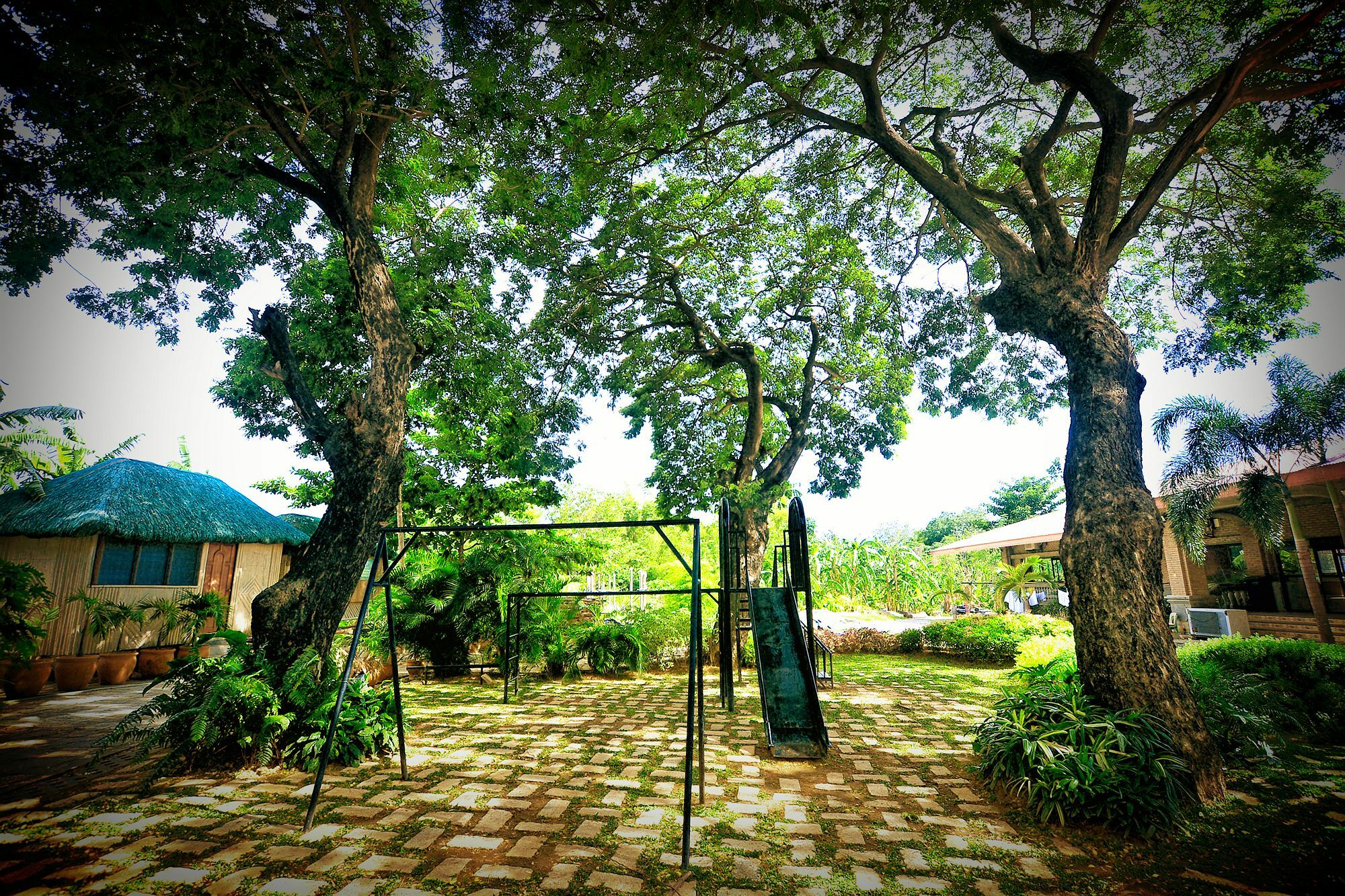Reddoorz Plus Near Vigan Convention Center Dış mekan fotoğraf